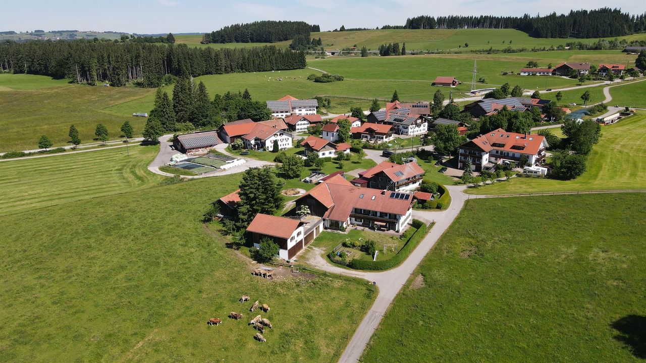 Unser schöner Ort Lachen Unser schöner Ort Lachen